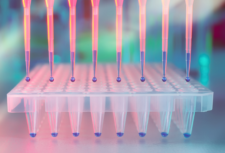 How Does the DNA Testing Process Work?