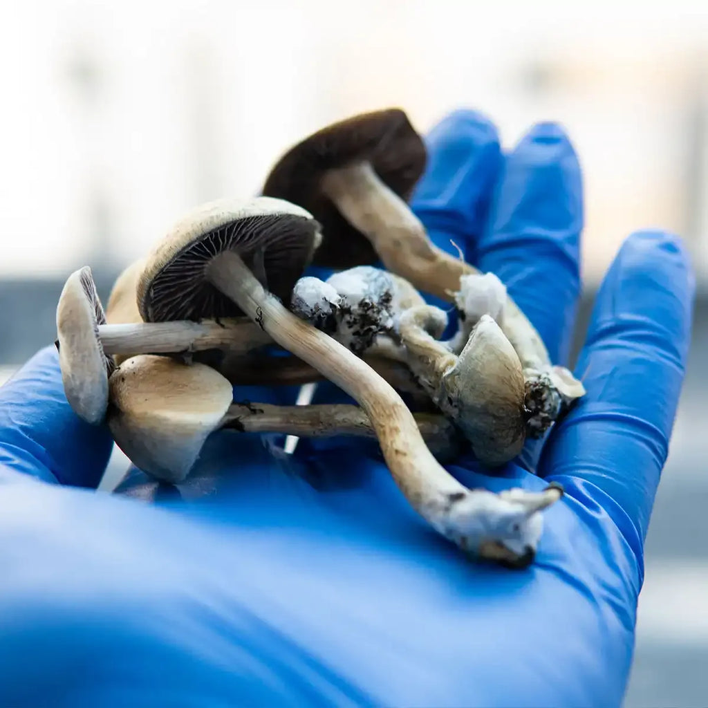 The Rise of Psychedelic DNA Testing: Personalizing Mental Health from the Inside Out