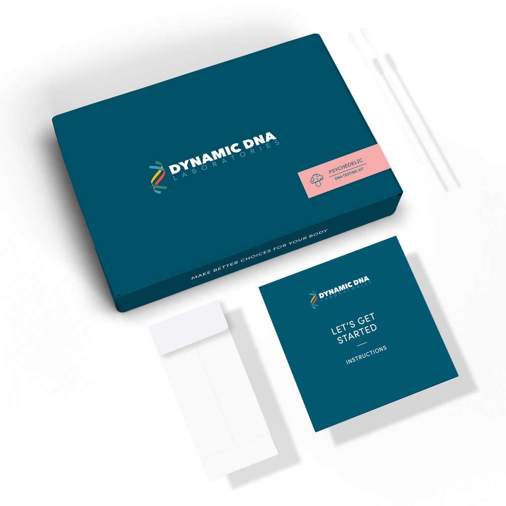Dynamic DNA testing kit with blue box and instructions on a white background