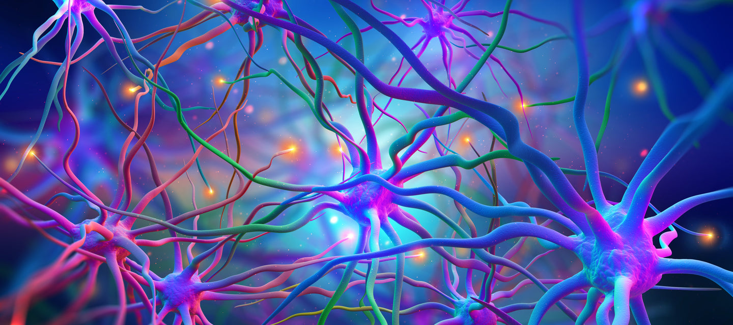 Colorful illustration of neural network with interconnecting neurons on a dark blue background