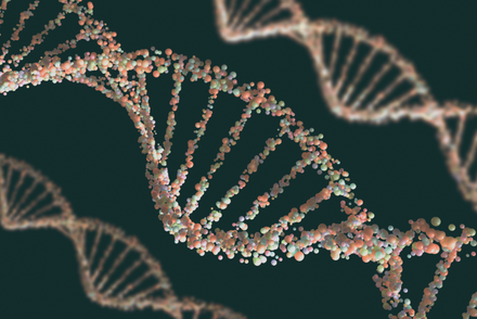 Dynamic DNA Labs: The Functions of DNA