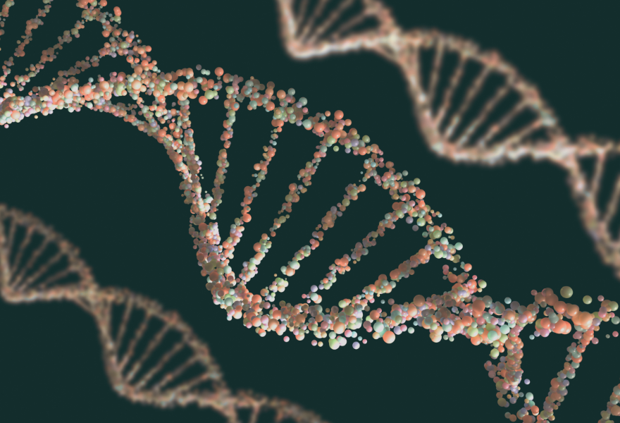 Dynamic DNA Labs: The Functions of DNA