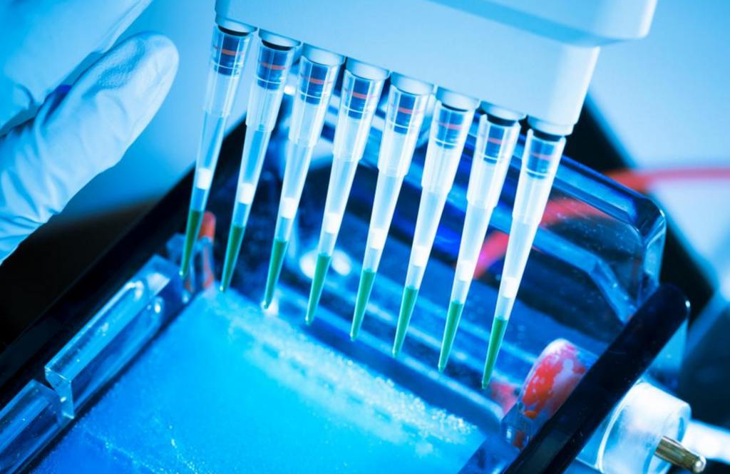 How Does a DNA Test Work? Your Guide to Genetic Testing