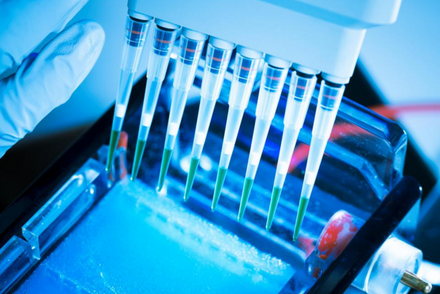 How Does a DNA Test Work? Your Guide to Genetic Testing