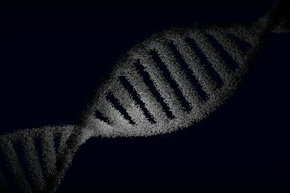 Dynamic DNA Doesn’t Sell Your DNA - And Why That Matters