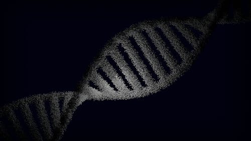 Dynamic DNA Doesn’t Sell Your DNA - And Why That Matters