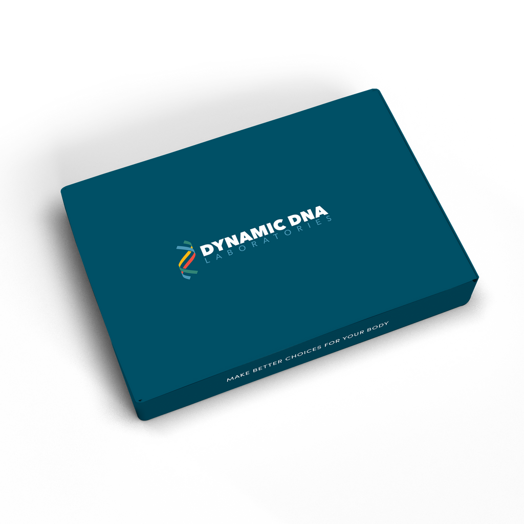 Blank Dynamic DNA Box