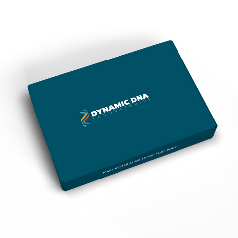 Blank Dynamic DNA Box
